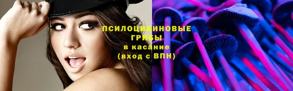 экстази Новодвинск