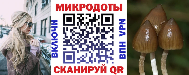 Псилоцибиновые грибы Psilocybe  магазин продажи наркотиков  Хотьково 